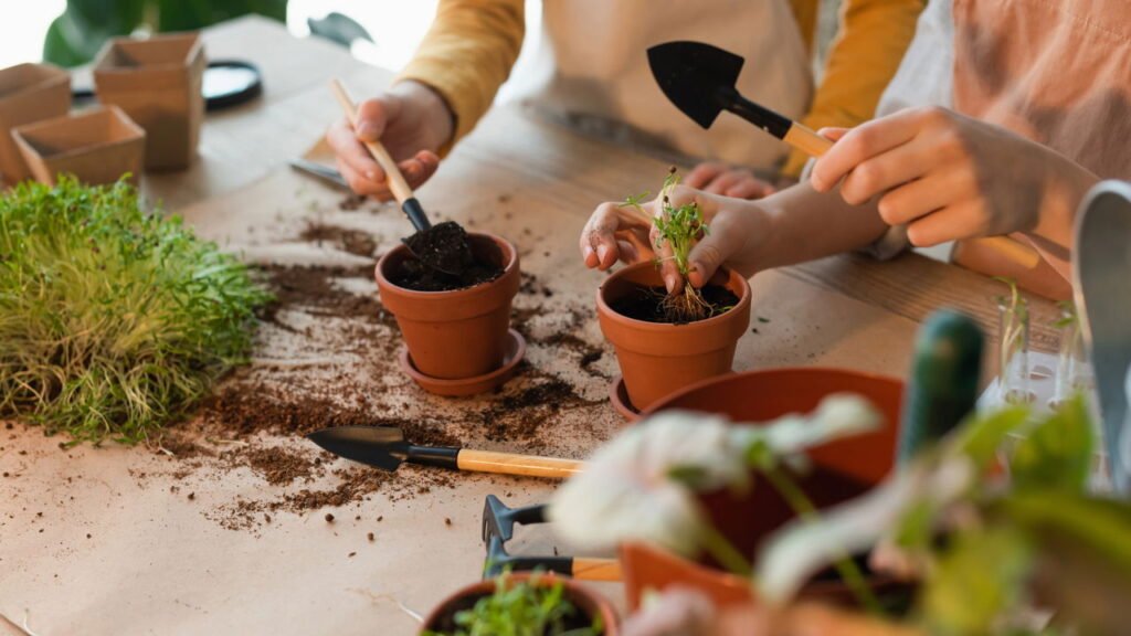 Os benefícios da jardinagem para o bem-estar emocional em casa