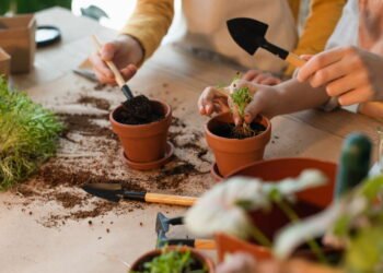 Os benefícios da jardinagem para o bem-estar emocional em casa