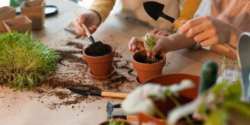Os benefícios da jardinagem para o bem-estar emocional em casa