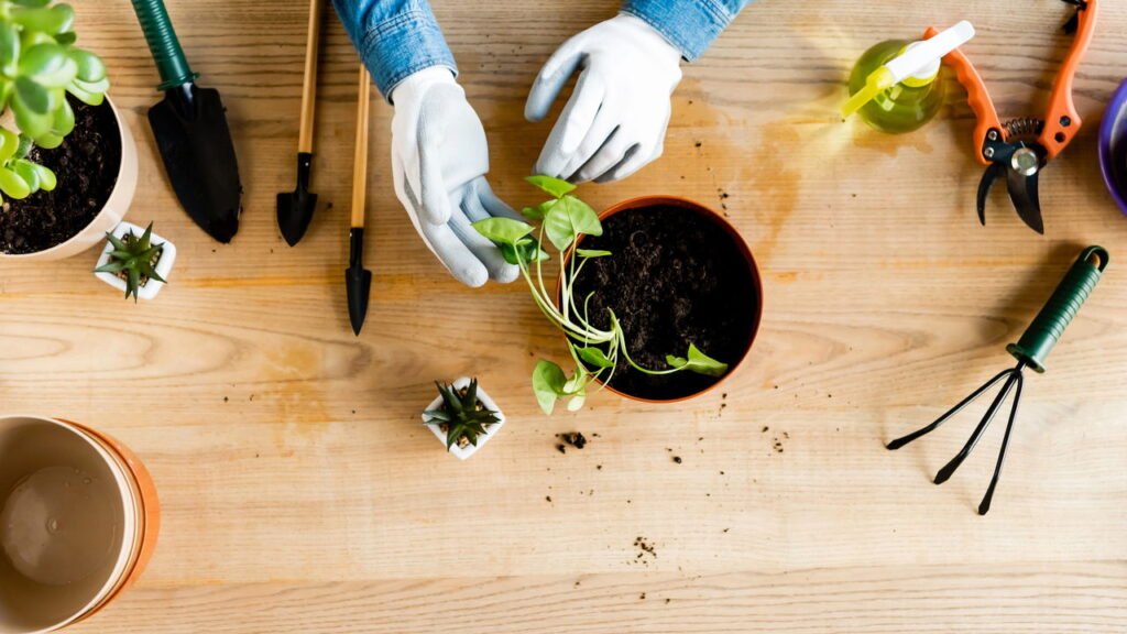 Os benefícios da jardinagem para o bem-estar emocional em casa