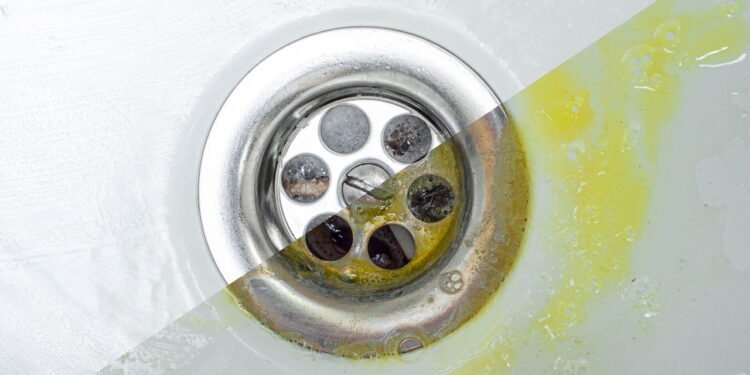 Misturinha caseira que está ajudando a limpar ralos sem produtos químicos