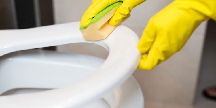 O truque com sal que mantém seu vaso sanitário limpo e sem mau cheiro