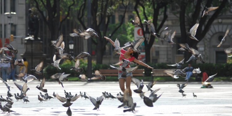 Cidade mais feliz para visitar - Créditos: depositphotos.com / Milkos