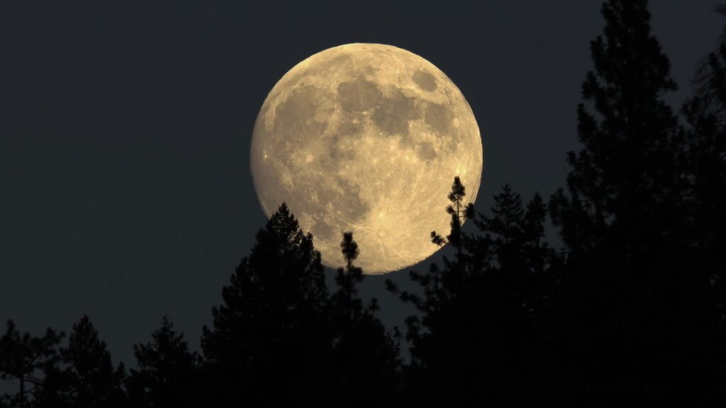 A próxima lua cheia pode mudar suas decisões financeiras