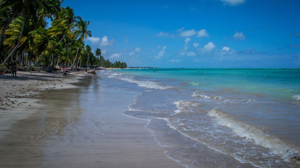 Cidade nordestina que mais parece o caribe e atrai turistas do mundo todo