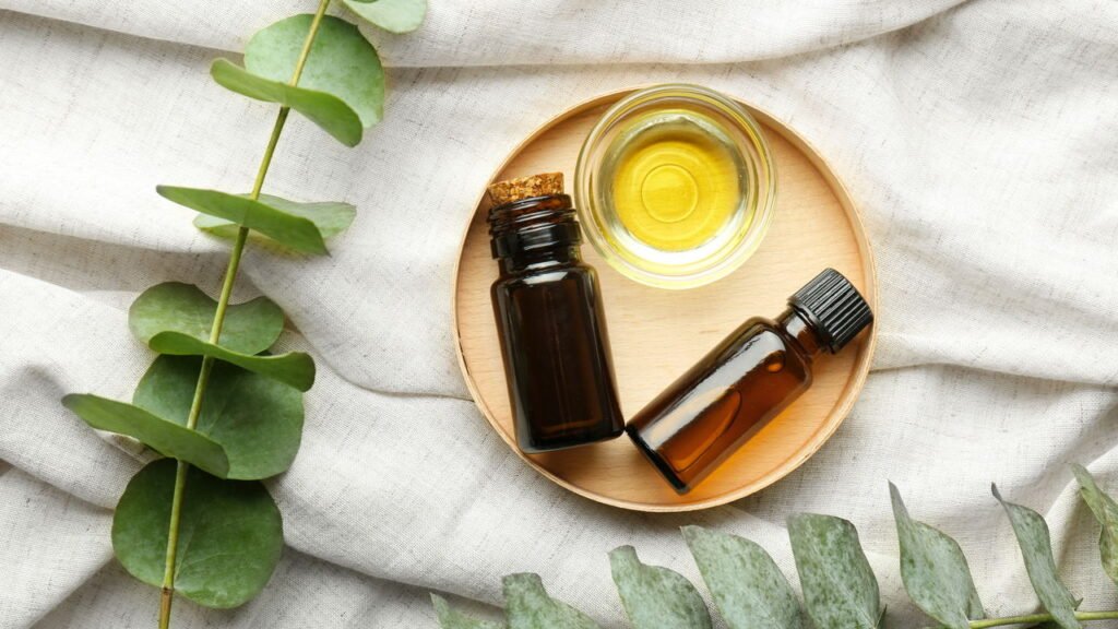 Óleo essencial de eucalipto pode ajudar a respirar melhor mas traz riscos se usado errado