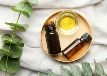 Óleo essencial de eucalipto pode ajudar a respirar melhor mas traz riscos se usado errado