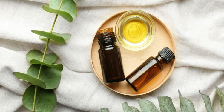 Óleo essencial de eucalipto pode ajudar a respirar melhor mas traz riscos se usado errado