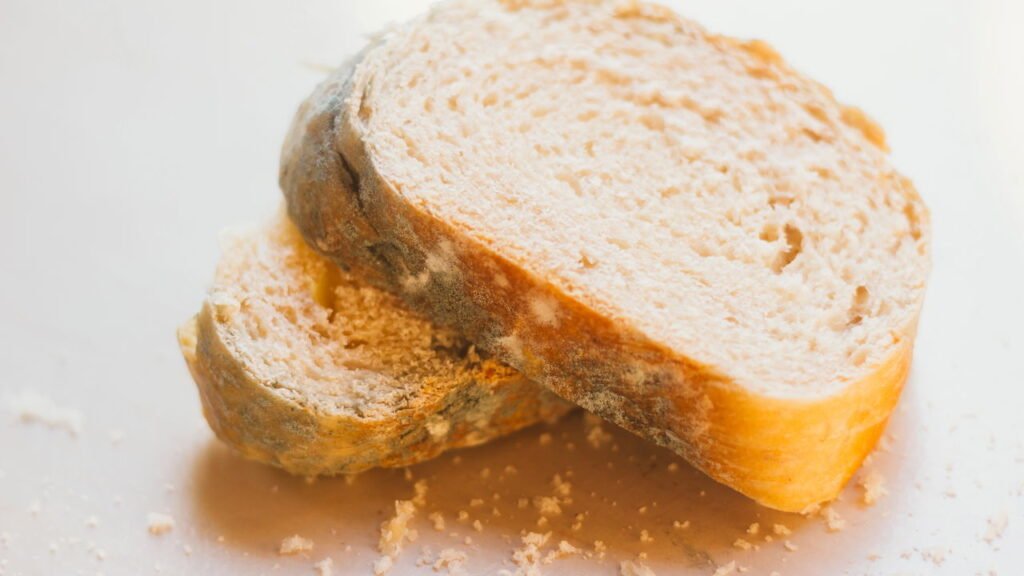 Cinco alimentos que nunca devem ir para a geladeira, segundo especialistas