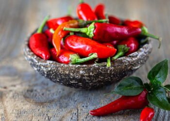 Como plantar pimentão em casa e economizar no mercado