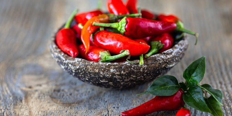 Como plantar pimentão em casa e economizar no mercado