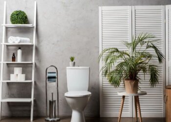 A planta resistente que renova banheiros e ainda decora com estilo