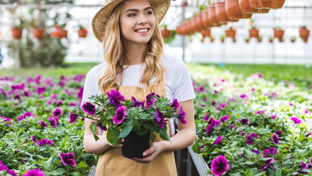 Três flores ideais para cultivar em setembro e deixar o jardim mais bonito