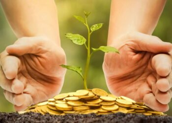 4 flores que trazem boas energias segundo o Feng Shui