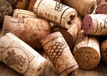 Veja por que colocar rolhas no solo das plantas pode salvar seu jardim