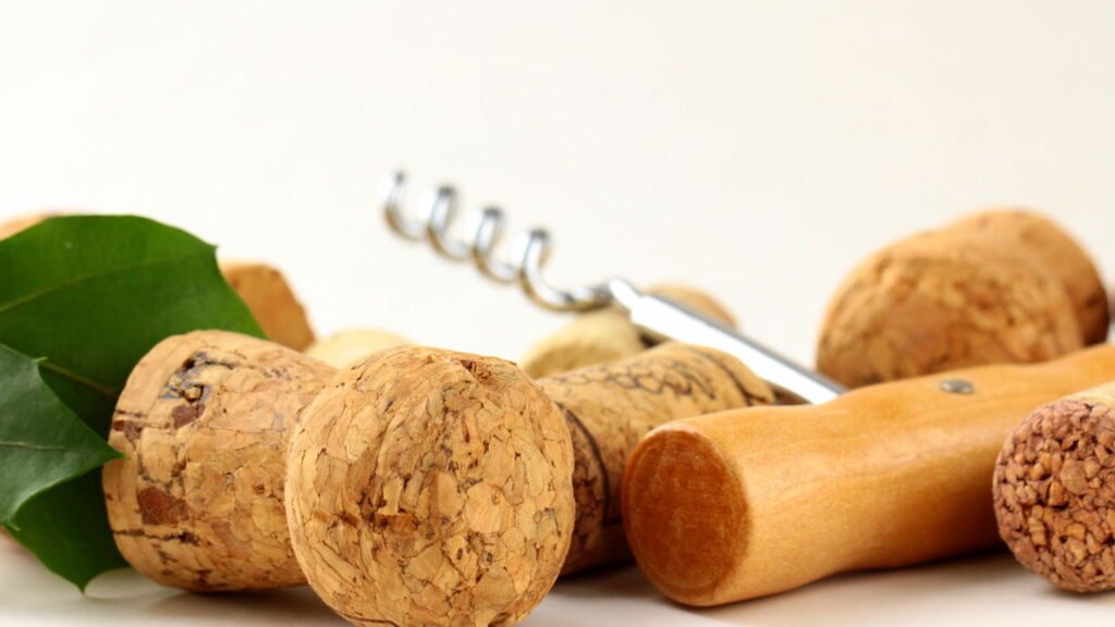 Veja por que colocar rolhas no solo das plantas pode salvar seu jardim