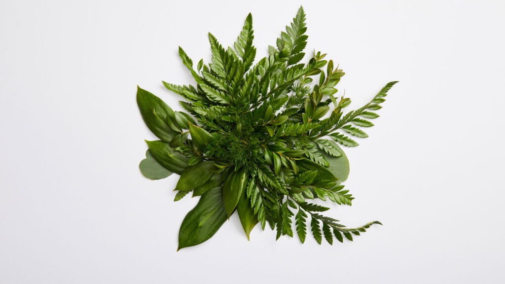 Essas 5 plantas mudaram a respiração de quem sofria com crises alérgicas