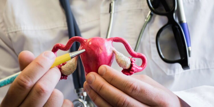 Suplementos que ajudam mulheres a controlar os sintomas da SOP - Créditos: depositphotos.com / Shidlovski