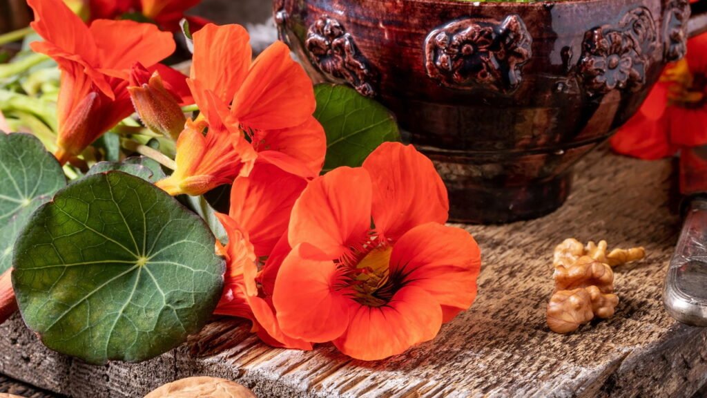 A flor mais completa que fortalece e ainda embeleza seu prato