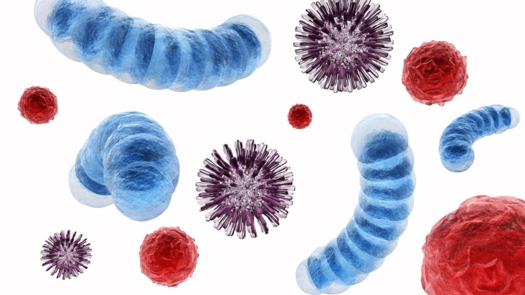 Pesquisadores encontram vírus gigante no Pantanal e surpreende a ciência