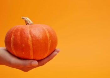 5 receitas de abóbora rápidas e fáceis de fazer em casa