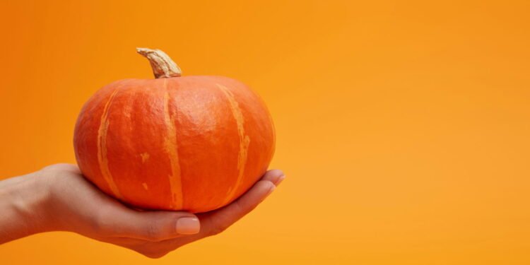 Manda bem com essas receitas - Créditos: depositphotos.com / AntonMatyukha