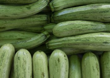 Saiba como fazer para a abobrinha não soltar tanta água na hora de cozinhar
