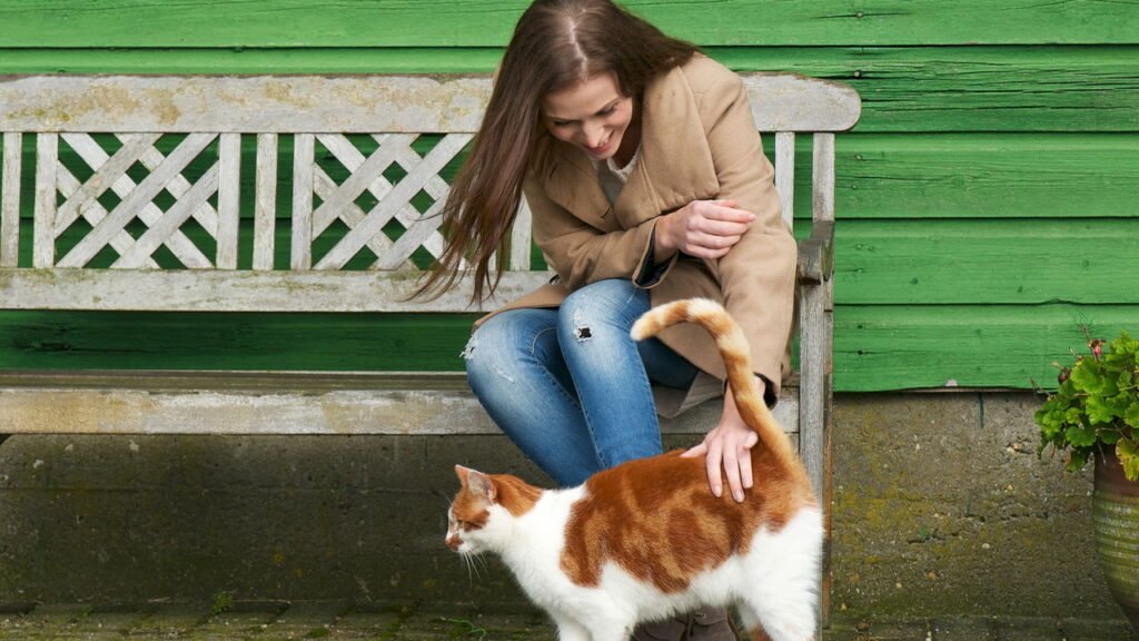 O que significa quando uma pessoa sempre acaricia gatos, segundo a psicologia