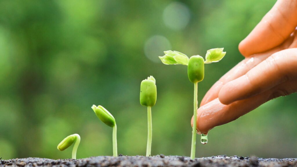 Jornal velho pode virar adubo e melhorar suas plantas