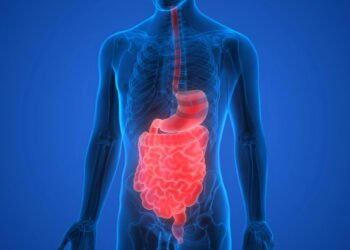 Cientistas acreditam ter descoberto o propósito original do ânus: ele não é apenas para excrementos?