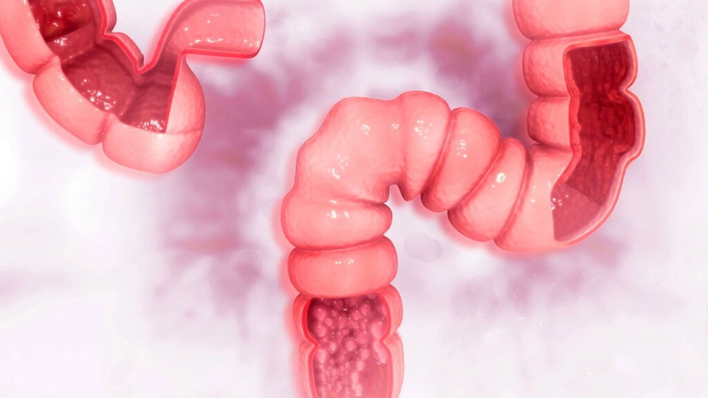 Cientistas acreditam ter descoberto o propósito original do ânus: ele não é apenas para excrementos?