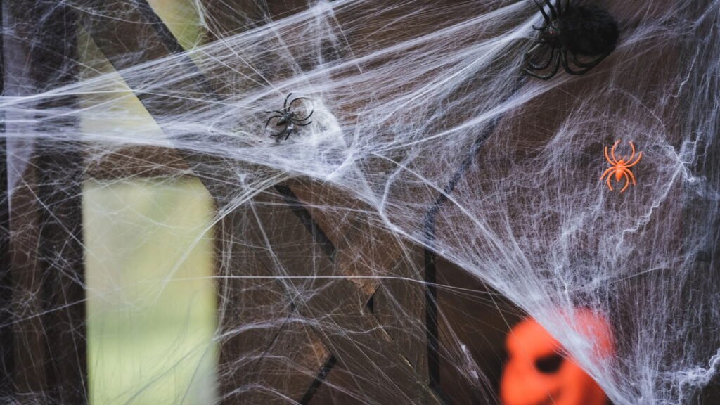 A presença de aranhas em casa pode revelar uma mensagem importante