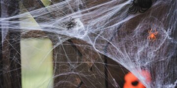 A presença de aranhas em casa pode revelar uma mensagem importante