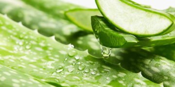 Suco de babosa com só 8 calorias refresca, melhora a digestão e ainda tem gosto de limão