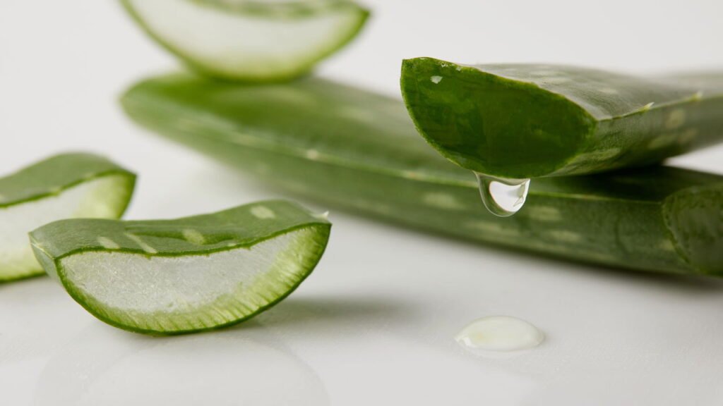 Suco de babosa com só 8 calorias refresca, melhora a digestão e ainda tem gosto de limão
