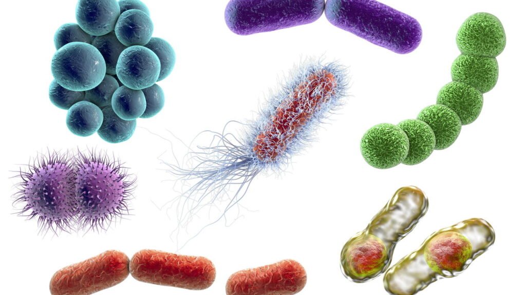 Você reutiliza garrafa de água? Cuidado com o que pode vir junto