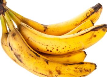 A forma mais eficiente e barata de conservar bananas em casa