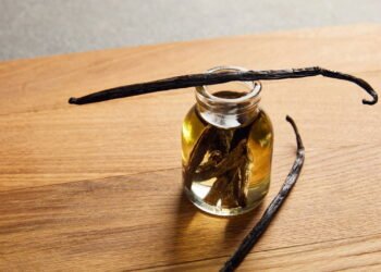 Planta que vale ouro cresce em vaso e precisa só de meia-sombra para produzir