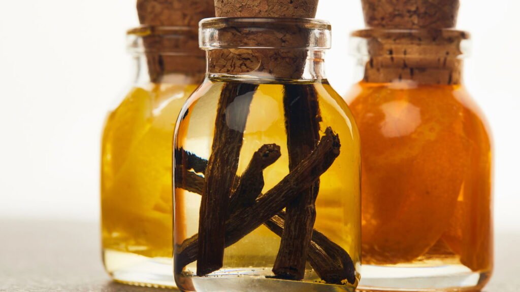 Planta que vale ouro cresce em vaso e precisa só de meia-sombra para produzir