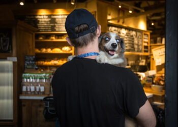 Seu cachorro tem que ir com você para todos os lugares?