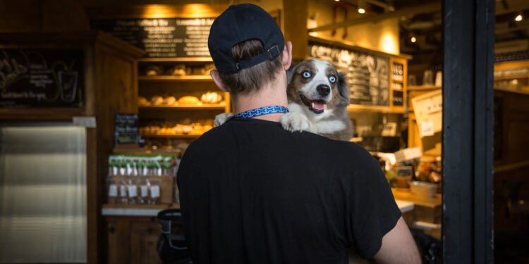 Passeando com o cachorro - Créditos: depositphotos.com / palinchak