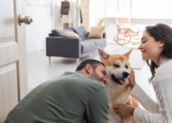 Animais de estimação trazem alegria e aliviam sintomas de ansiedade