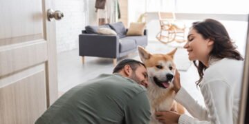 Animais de estimação trazem alegria e aliviam sintomas de ansiedade