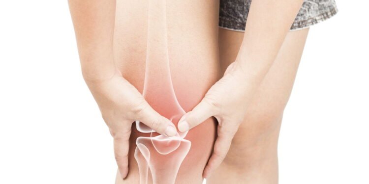 Esse nutriente pode ser a chave para ossos mais fortes e saudáveis