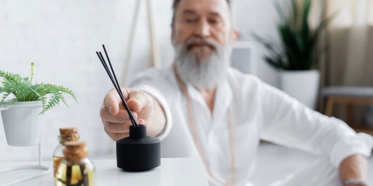 Casa com aromatizador de gravetos - Créditos: depositphotos.com / IgorVetushko