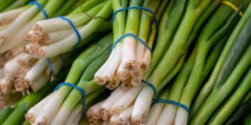 Cebolinha em casa deixa os pratos mais saborosos e a horta mais completa