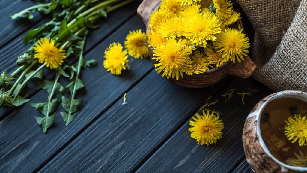 Essa planta simples está sendo chamada de ouro líquido para o fígado
