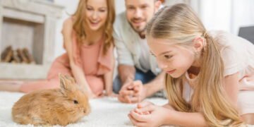 Alimentação correta garante saúde dos coelhos de companhia