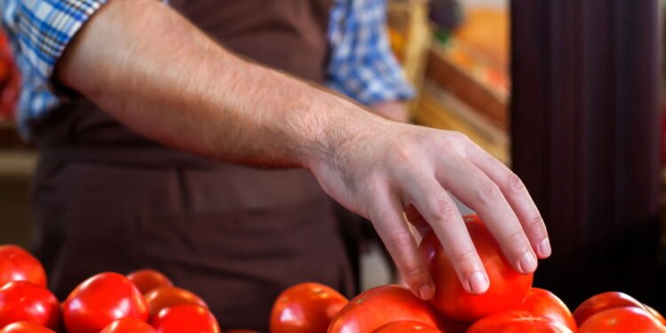 Como escolher tomates