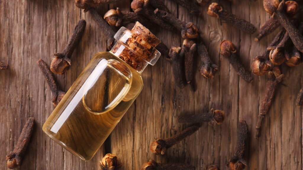 A combinação natural que virou pesadelo dos pernilongos